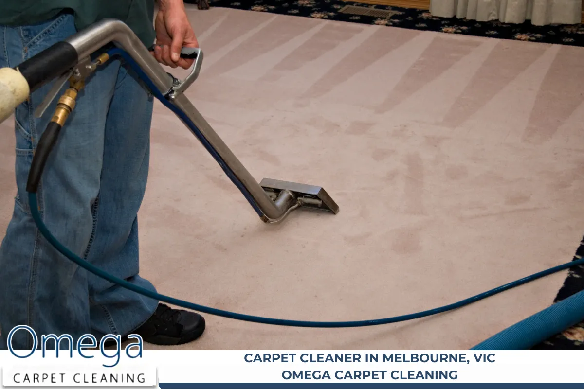 Carpet Cleaner in Melbourne, VIC - Omega Carpet Cleaning