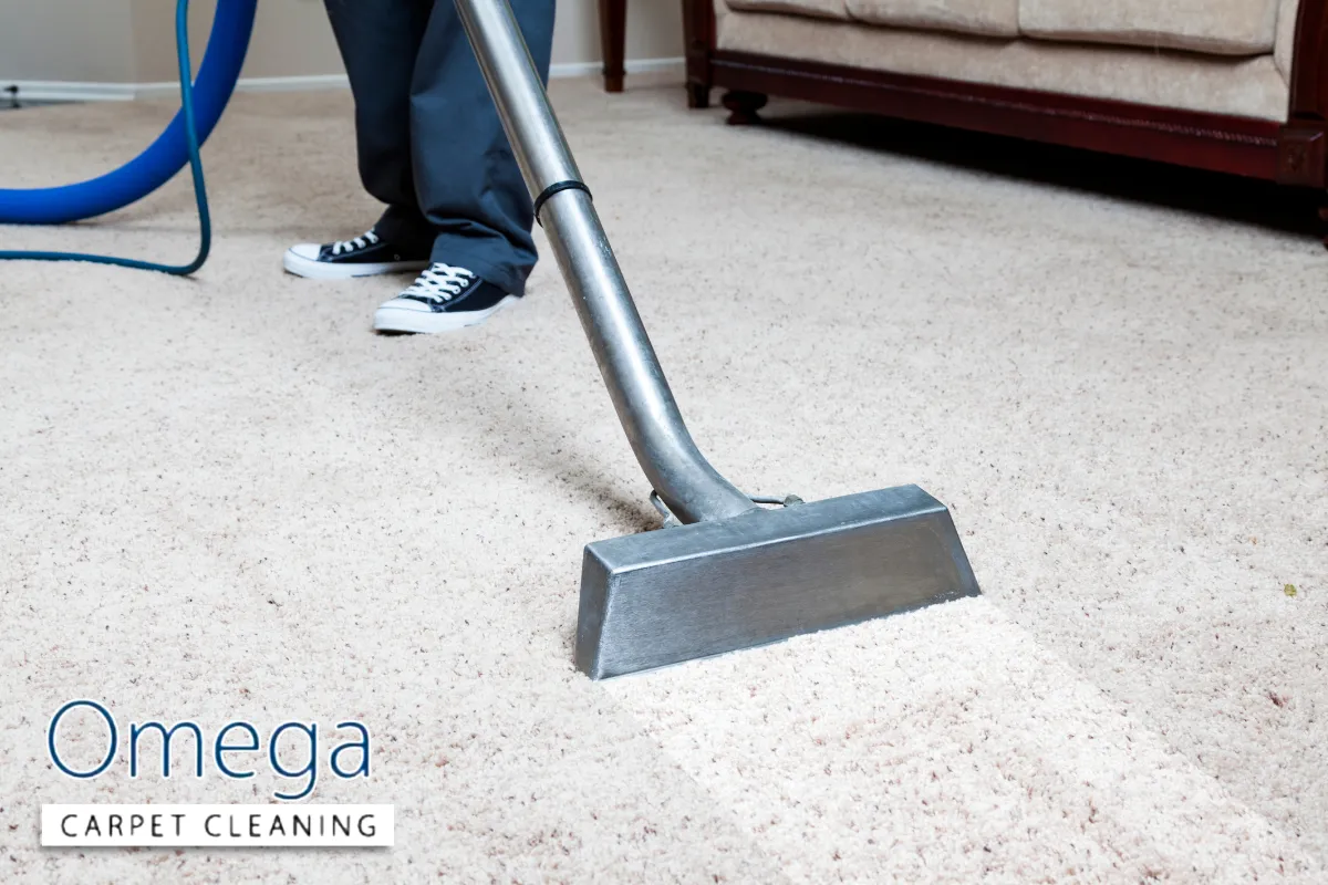 Comparing carpet cleaning methods for mould removal