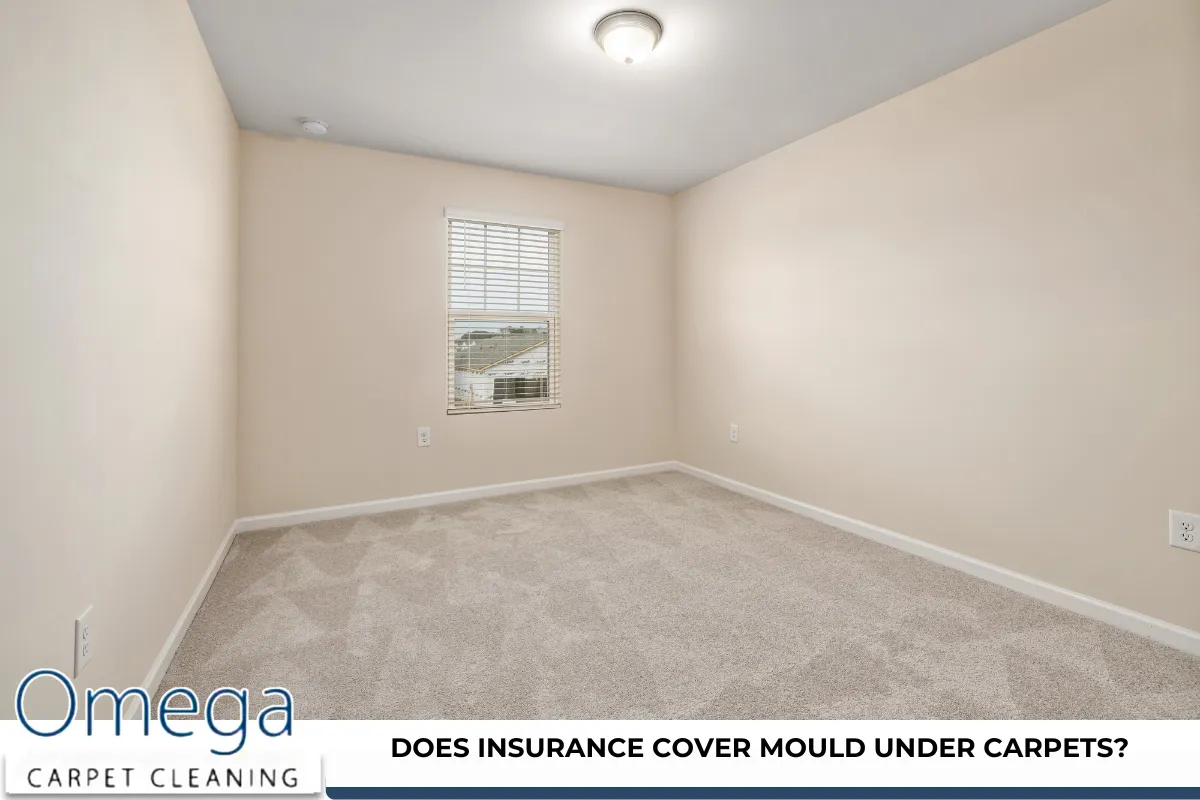 Does insurance cover mould under carpets?