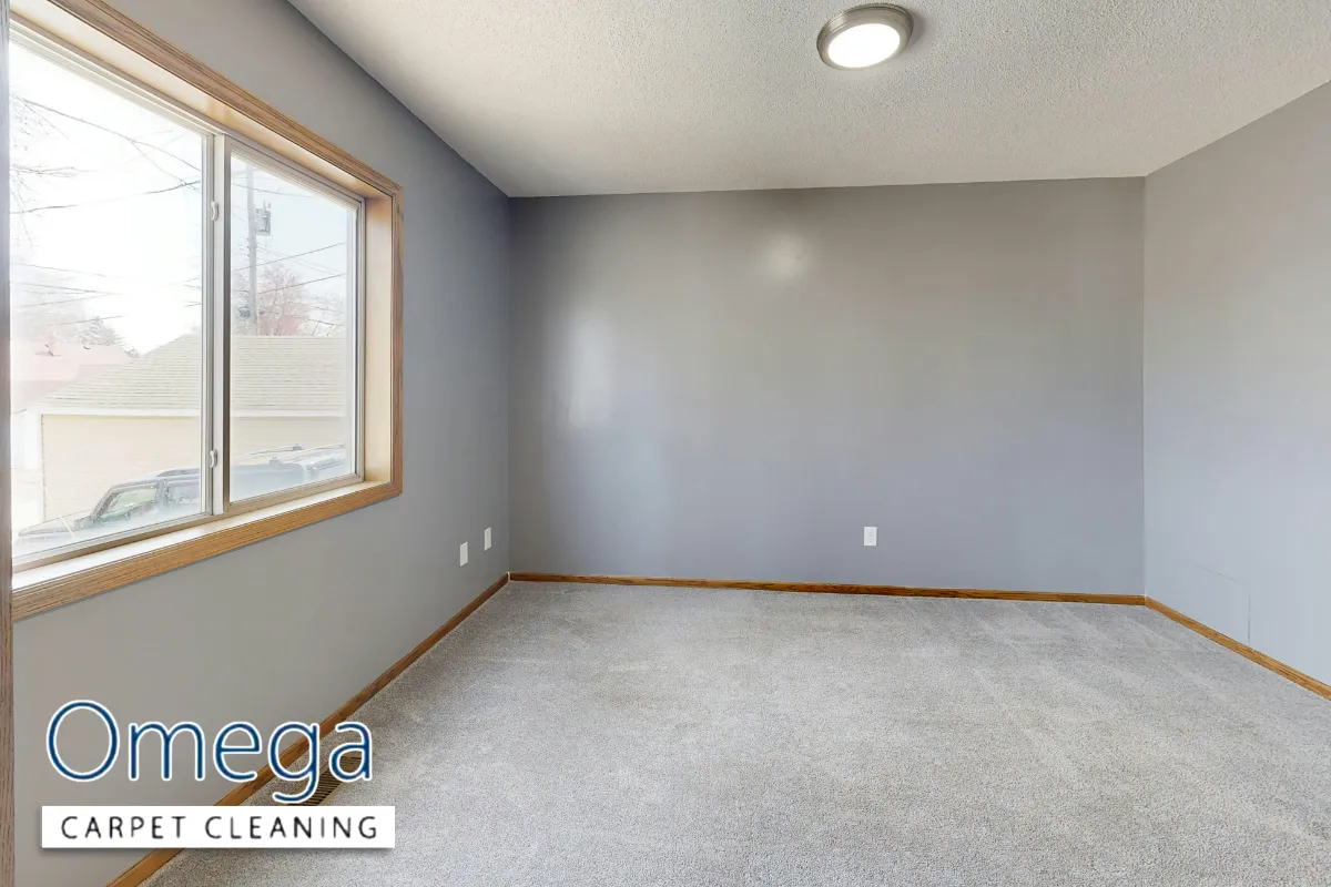 Final thoughts on keeping carpets mould-free