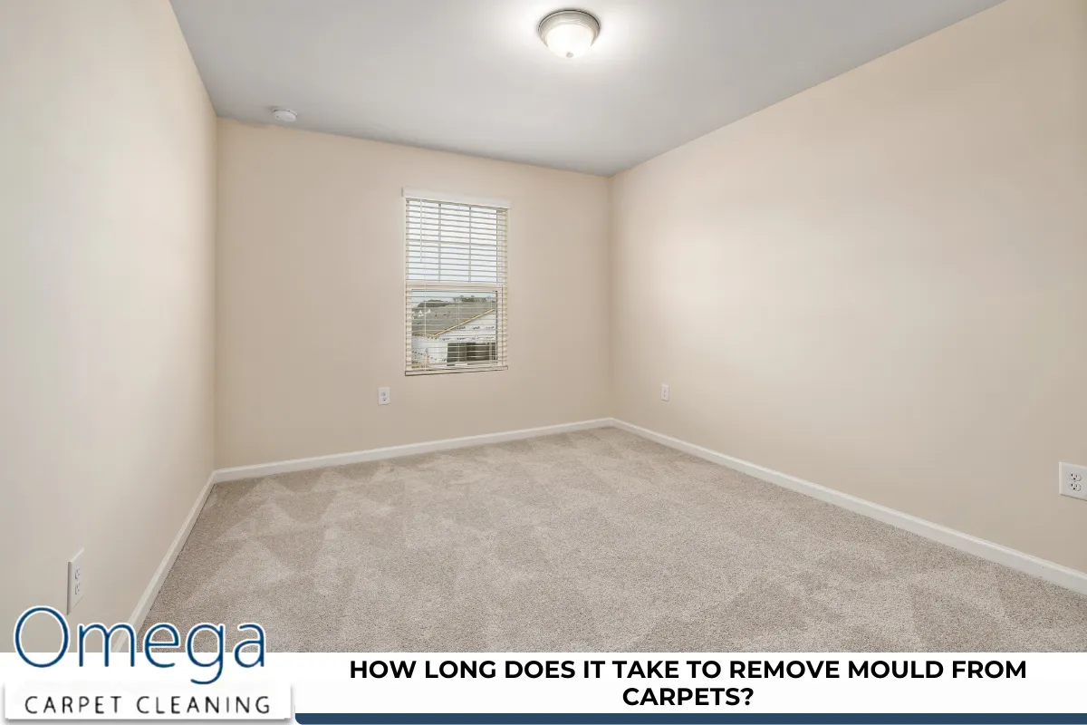 How long does it take to remove mould from carpets?