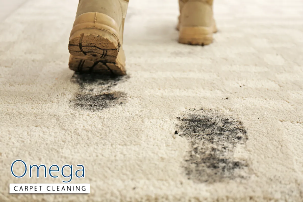 How mould forms beneath carpets in Melbourne homes