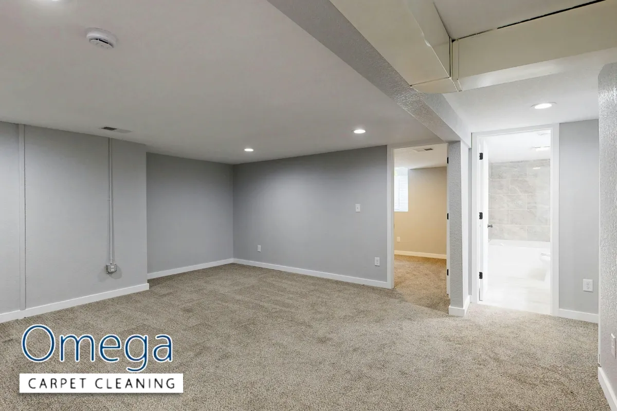 How often should carpets be professionally cleaned?