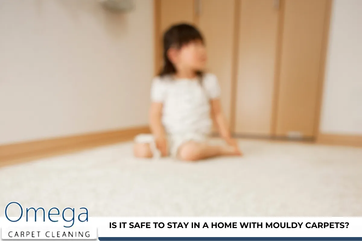 Is it safe to stay in a home with mouldy carpets?