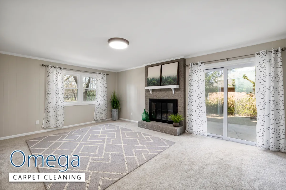 Practical tips to keep carpets mould-free