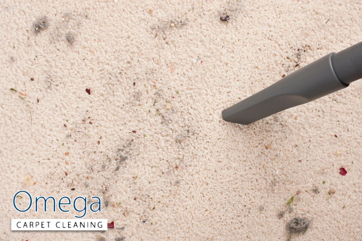 Signs your carpets need immediate attention