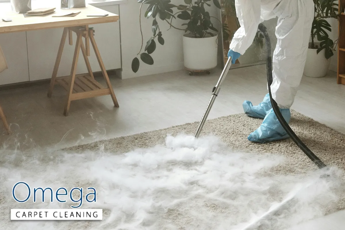 What actually kills mould under carpets