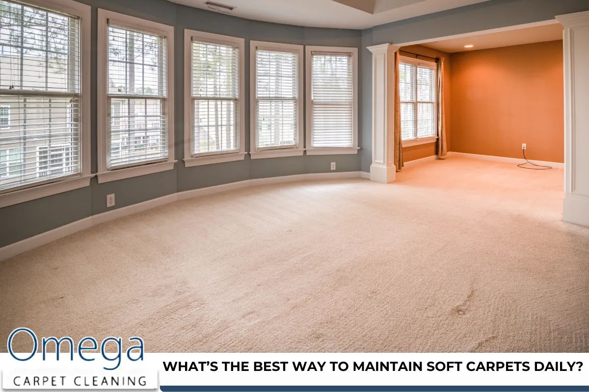 What’s the best way to maintain soft carpets daily?