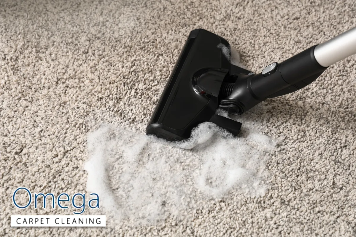 When DIY carpet cleaning is enough—and when it’s not