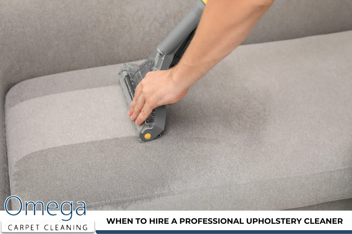 When to Hire a Professional Upholstery Cleaner