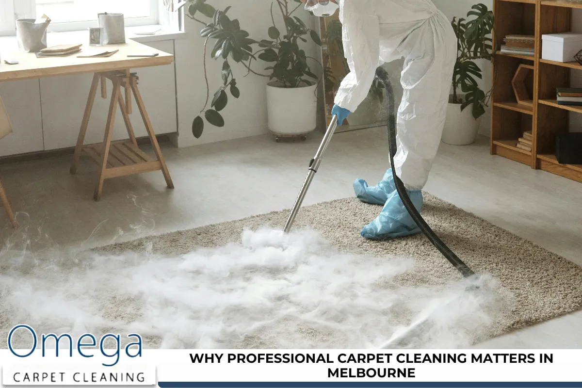 Why professional carpet cleaning matters in Melbourne