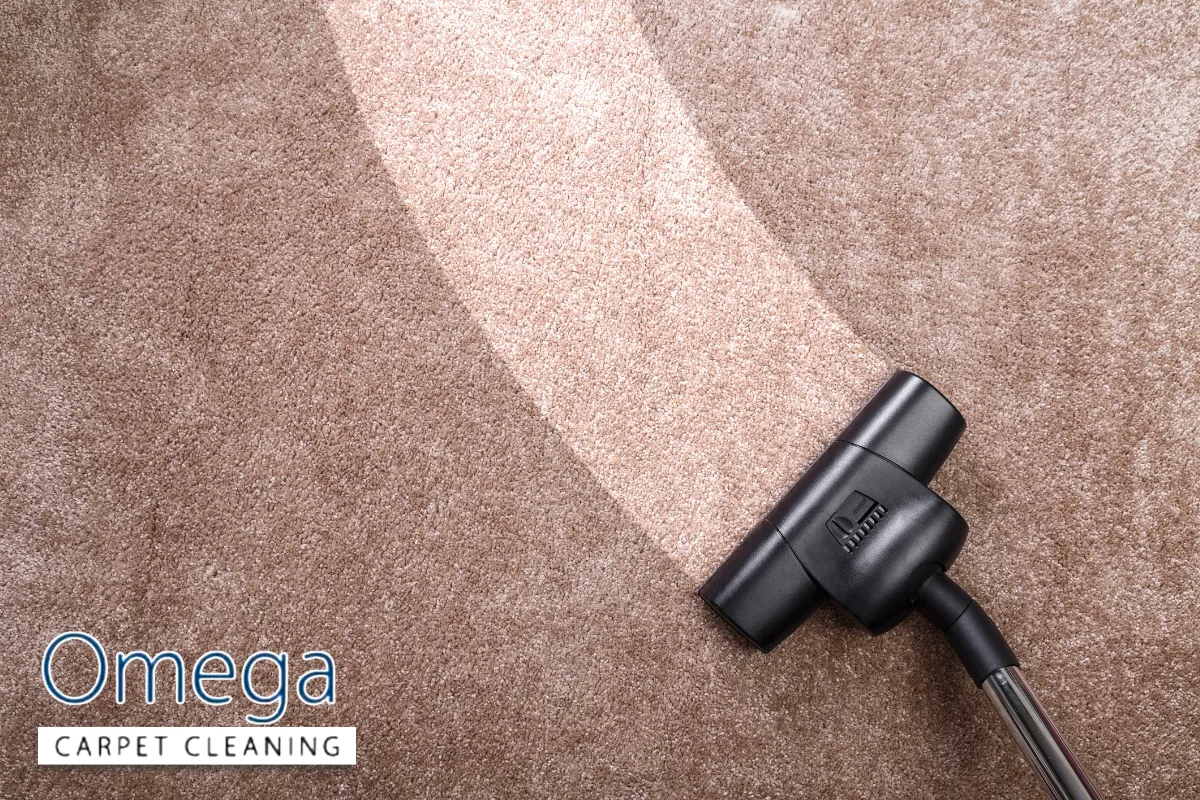 Choosing the Right Carpet Cleaner for Melbourne Restaurants
