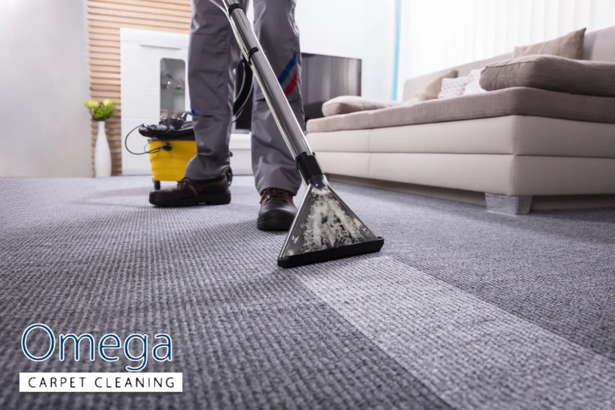 DIY Adhesive Removal vs Hiring a Professional Carpet Cleaner