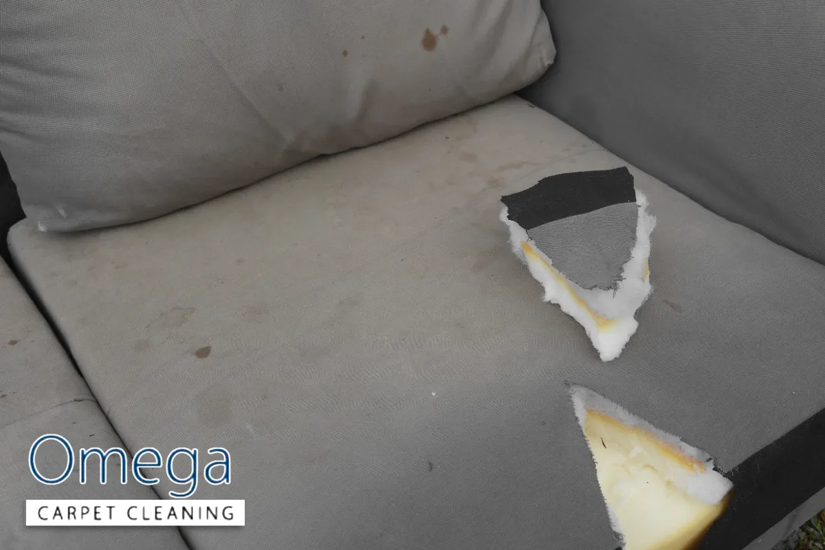 Faster Wear, Fading and Structural Damage to Your Lounge Suite