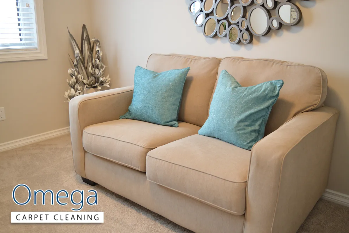 Hidden Health Risks Allergens, Dust Mites and Indoor Air Quality