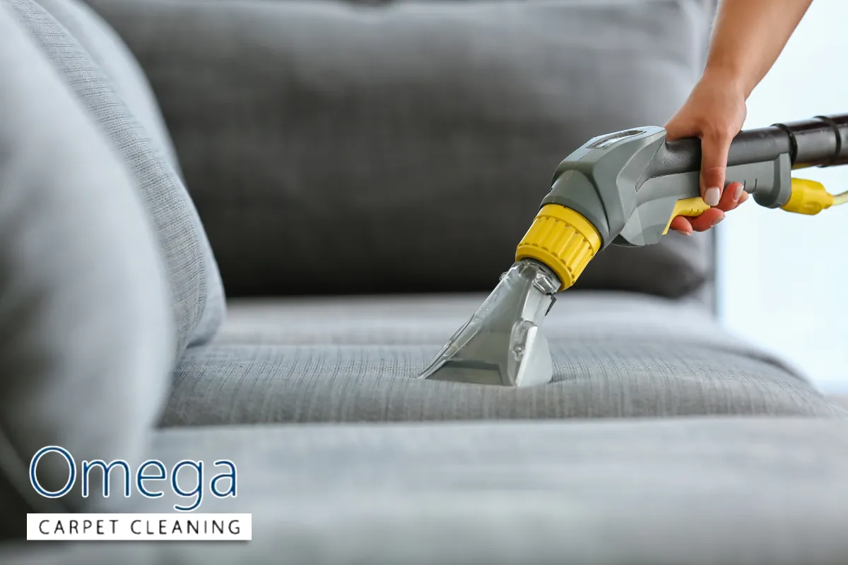 How Often Should You Clean Your Couch in Melbourne's Climate?