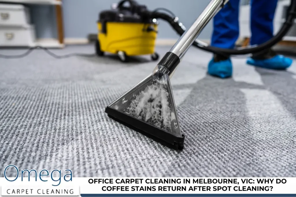 Office Carpet Cleaning in Melbourne, VIC: Why Do Coffee Stains Return After Spot Cleaning?