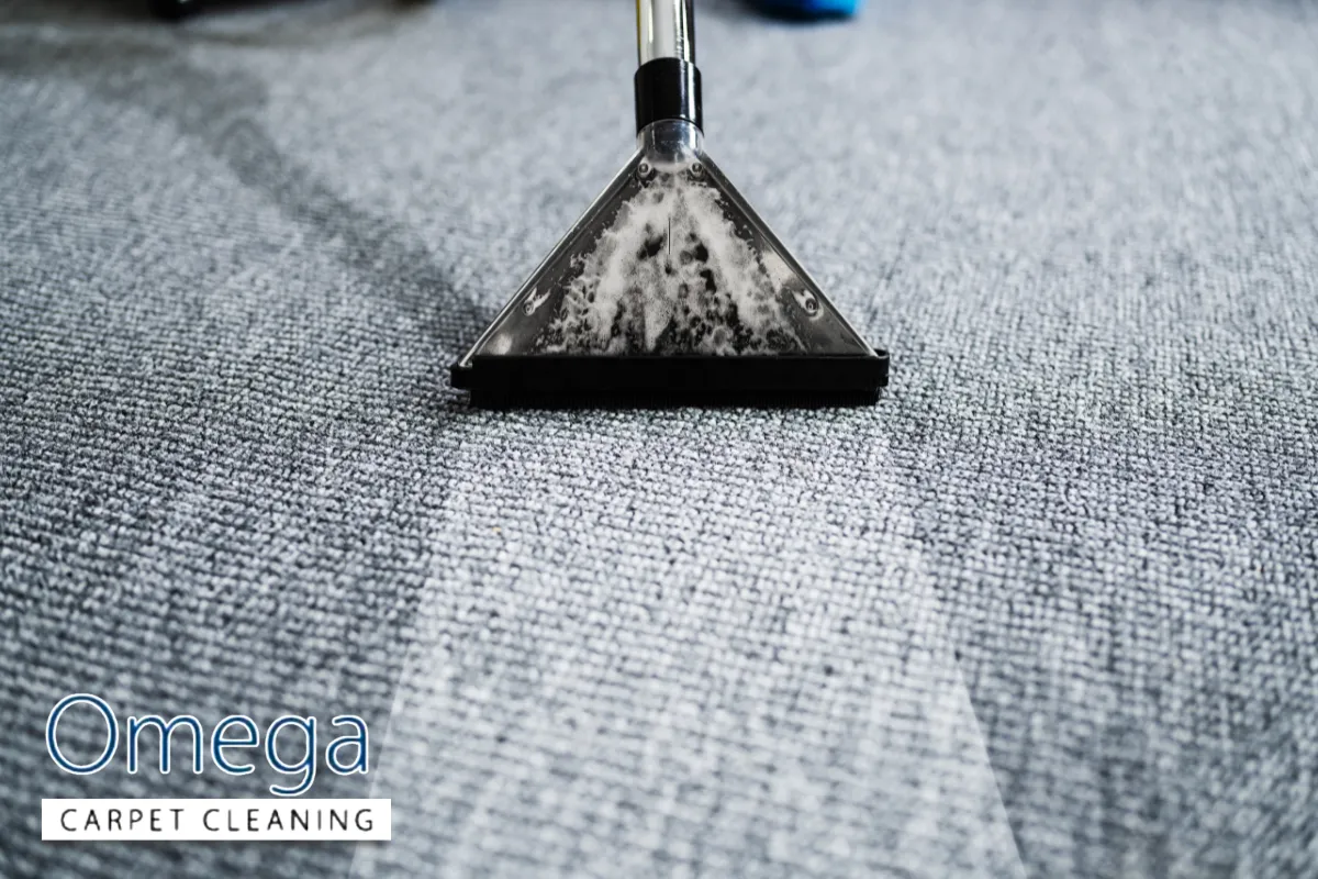 Protecting Carpets and Complying with Melbourne, VIC Standards