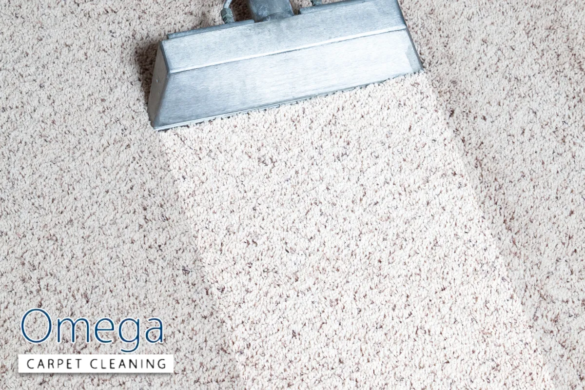 Related Cleaning Services for Melbourne Hospitality Venues