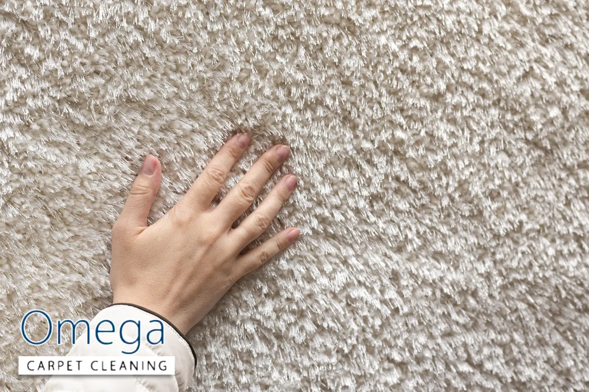 The Science Behind Greasy Traffic Lanes in Restaurant Carpets