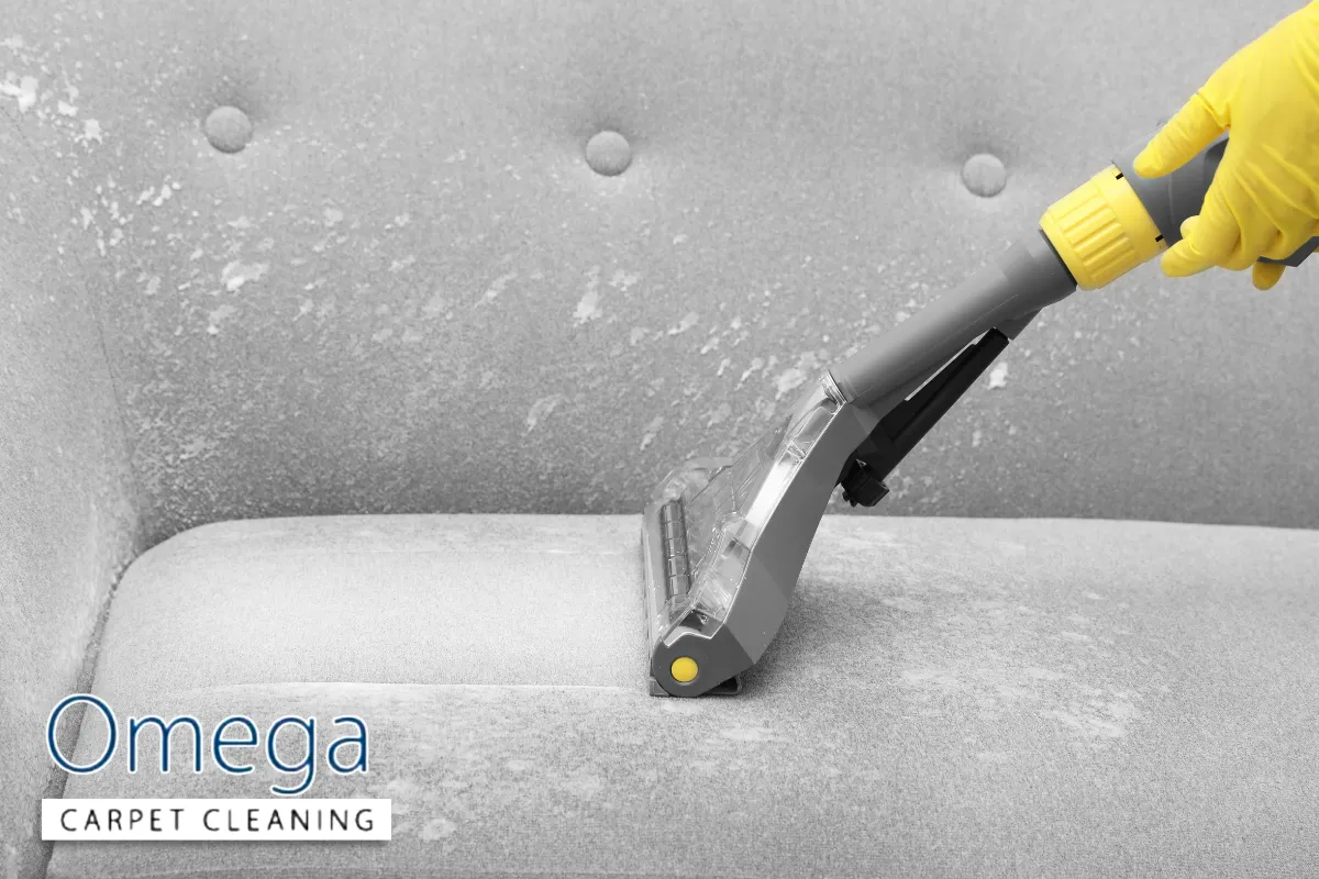 What Professional Upholstery Cleaning Services Do Differently