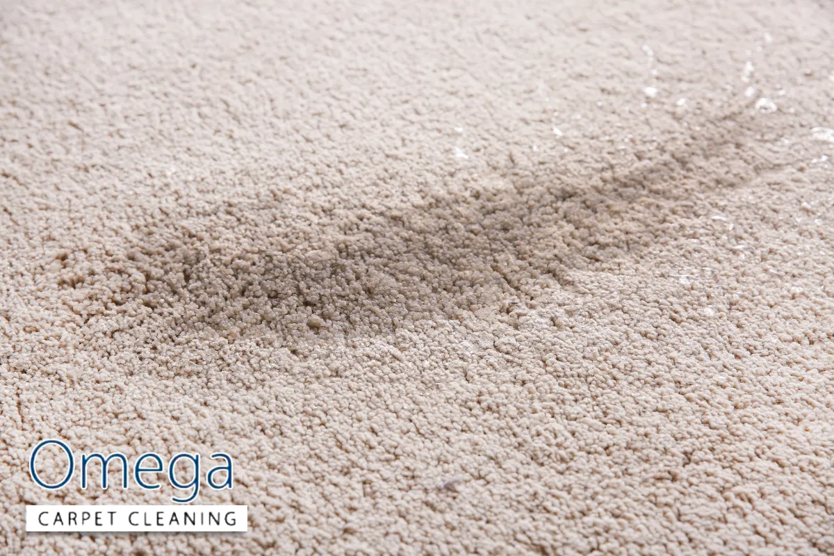 When to Call Professional Hotel Carpet Specialists