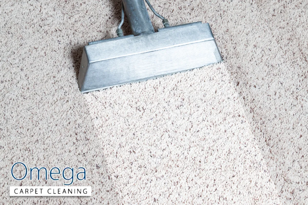 Best Practices to Prevent Permanent Colour Change in Your Carpets