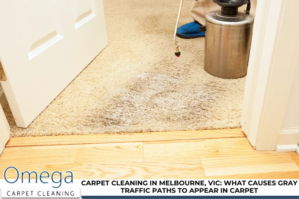 Carpet Cleaning in Melbourne, VIC: What Causes Gray Traffic Paths to Appear in Carpet