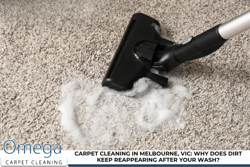 Carpet Cleaning in Melbourne, VIC: Why Does Dirt Keep Reappearing After Your Wash?
