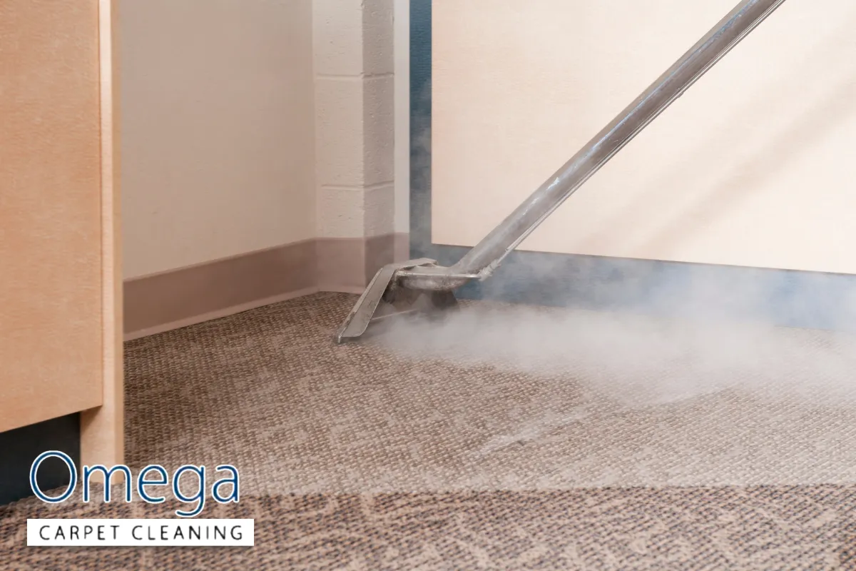 Choosing a Professional Carpet Cleaner for Stubborn Traffic Lanes