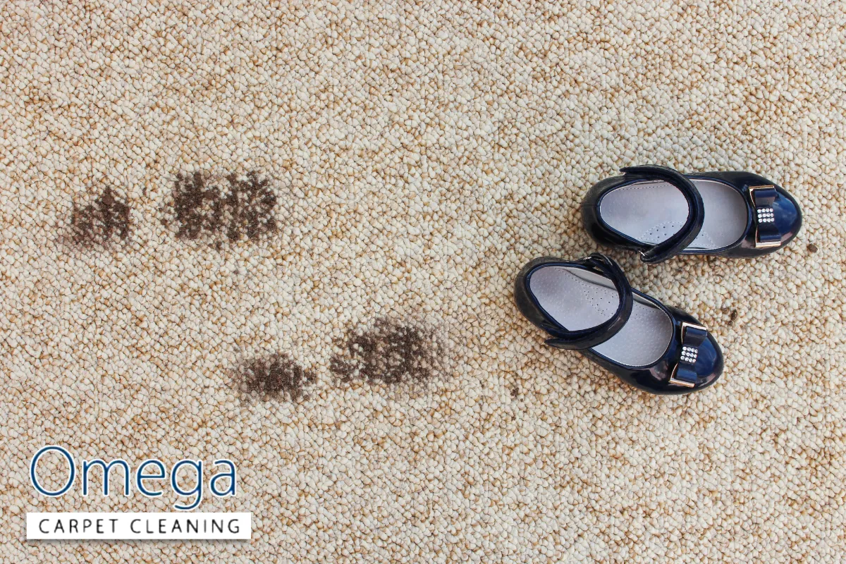 Common Causes of Carpet Colour Change in Melbourne Homes