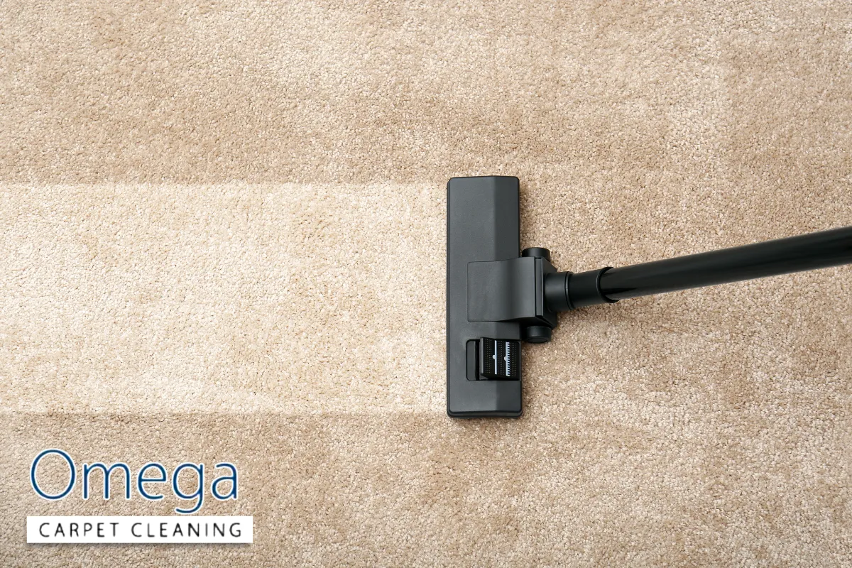 Dry Carpet Cleaning and Low-Moisture Options for Old and Delicate Carpets