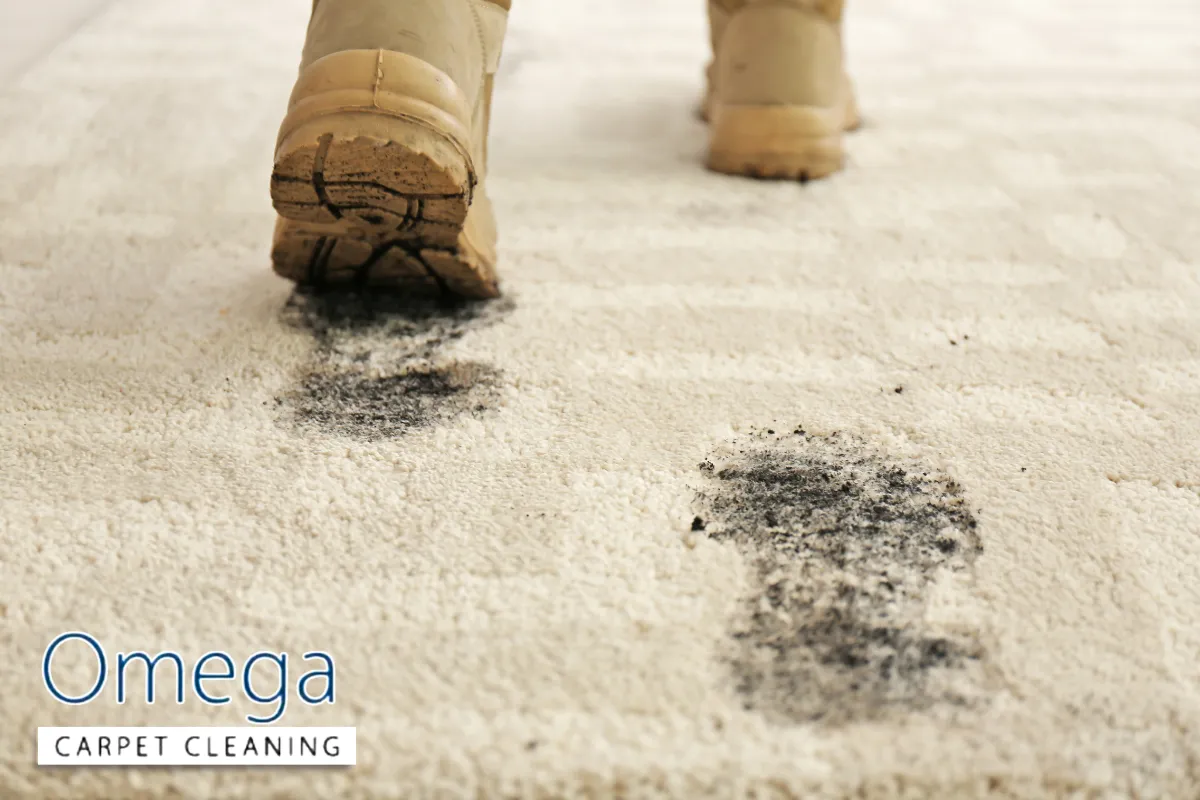 How Carpet Construction and Everyday Use Trap Hidden Dirt