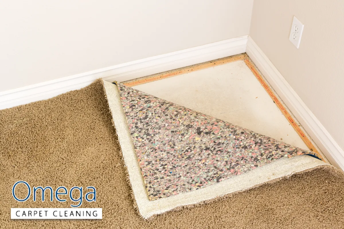 How Deeply Embedded Dirt Damages Old Carpets Over Time