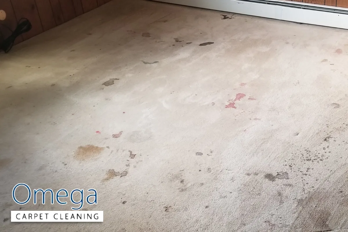 How Hidden Sand and Soil Quietly Destroy "Clean" Carpets