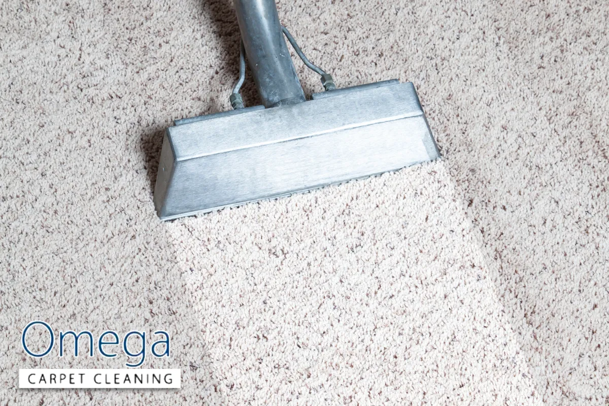 Professional Carpet Cleaning Methods That Actually Work on Filtration Soiling