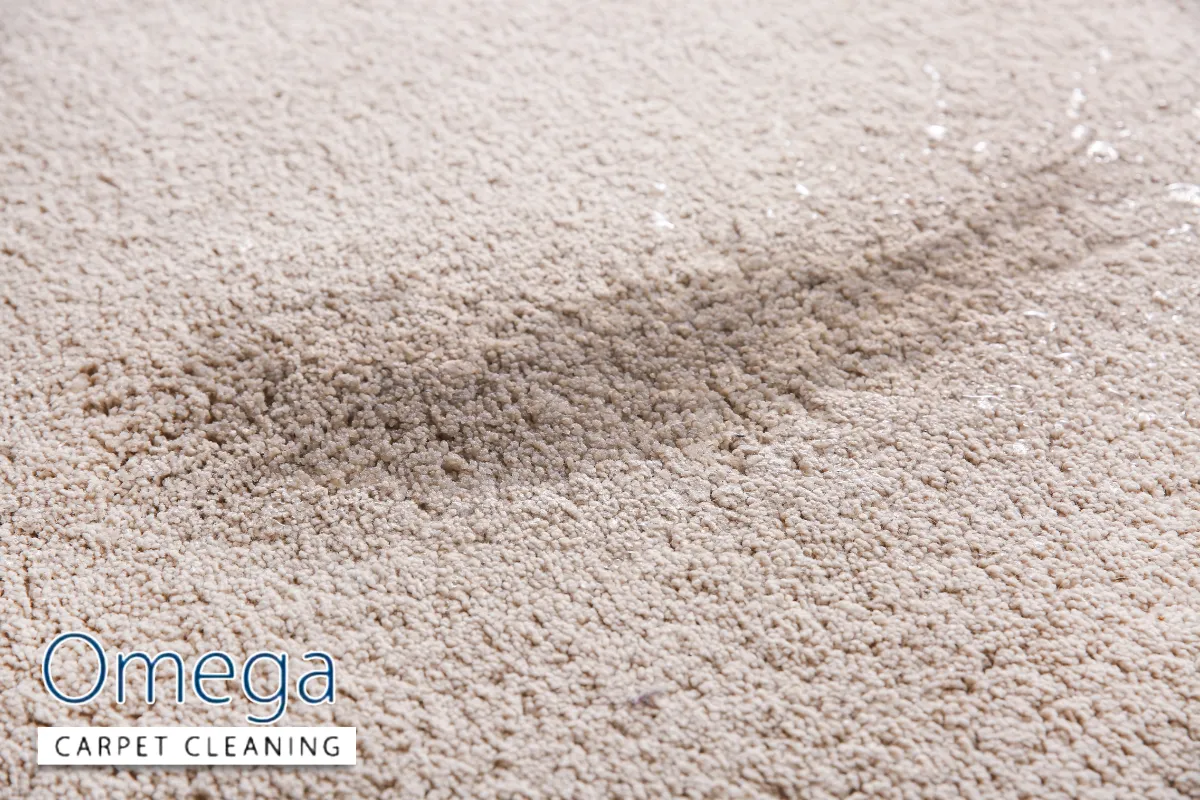 Stains Reappearing After Cleaning: The Wicking Effect