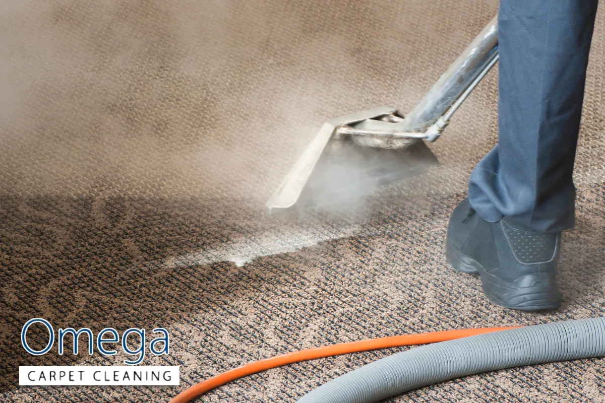 Steam Carpet Cleaning (Hot Water Extraction) for Deep Soil Removal
