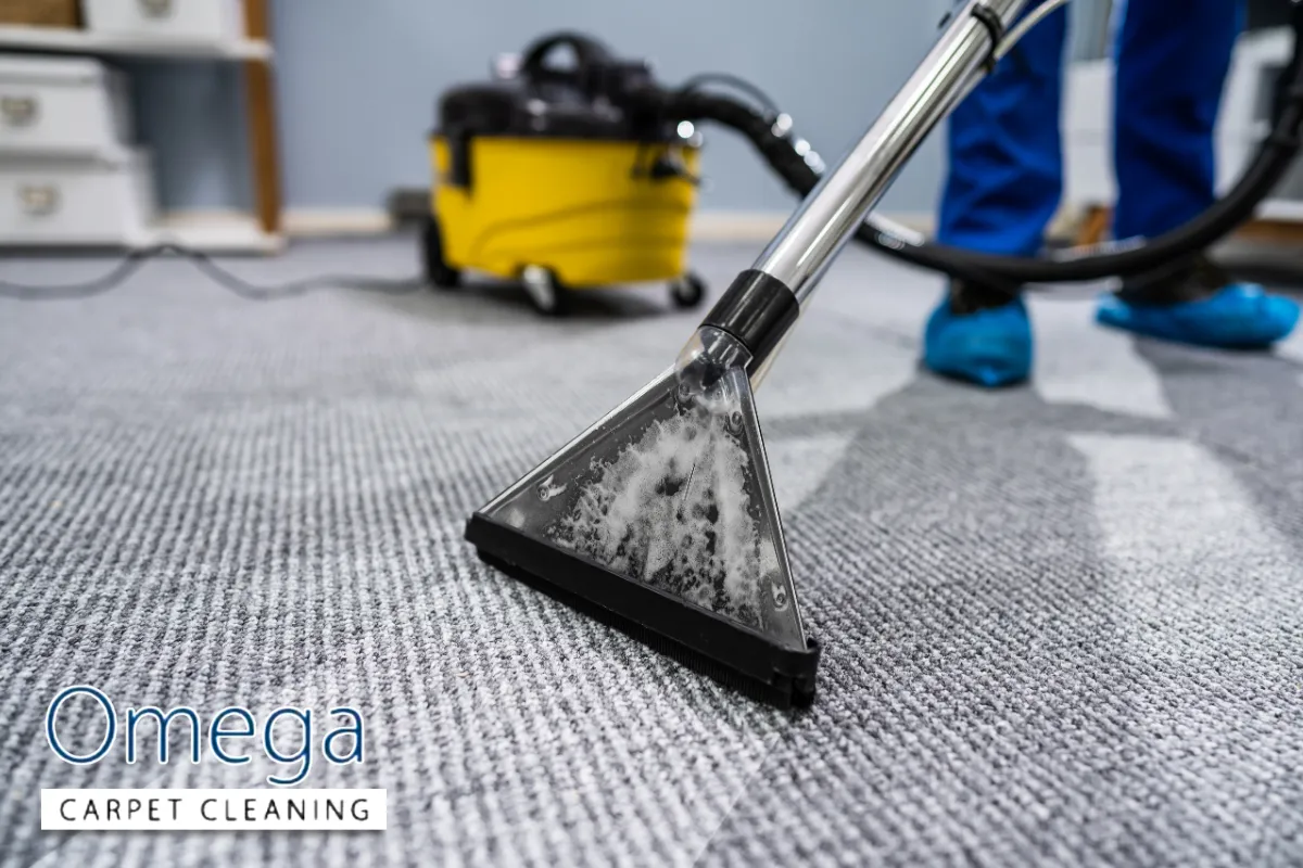 The Role of Professional Carpet Cleaning and Hot Water Extraction