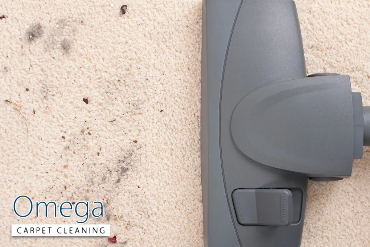 Vacuuming vs. Professional Carpet Cleaning: What Each Can and Can't Do