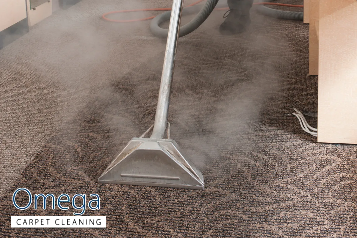 When It's Time to Call a Professional Carpet Cleaner in Melbourne