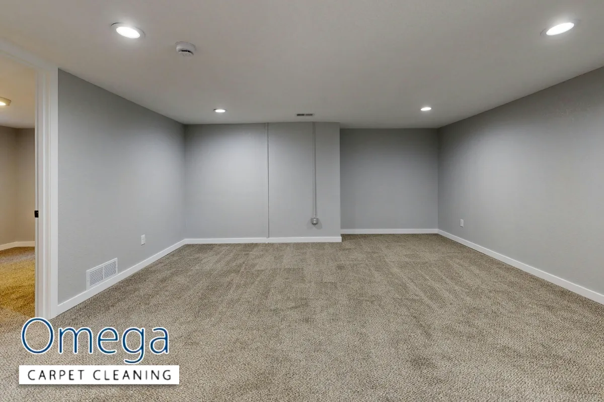 Why Carpet Cleaning Questions Often Start with Mysterious Dark Edge Lines